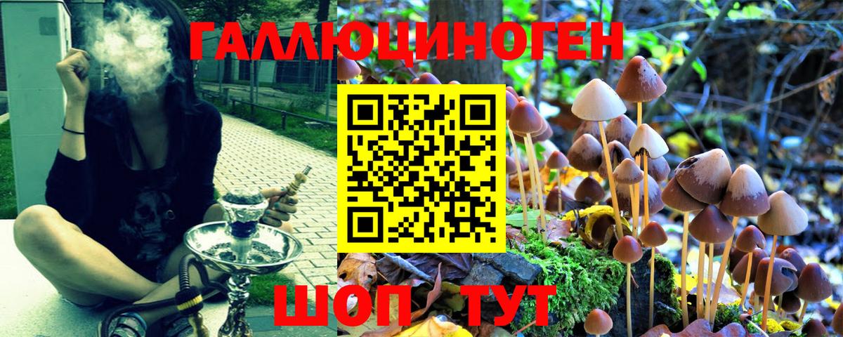 Галлюциногенные грибы мицелий  Псилоцибиновые грибы Psilocybine cubensis  Вход с VPN  Сергиев Посад 