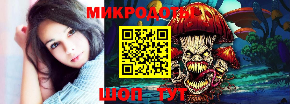Псилоцибиновые грибы Psilocybine cubensis Сергиев Посад
